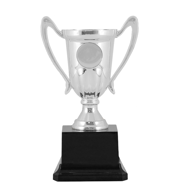 Wins Silver
