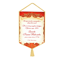 Вымпелы